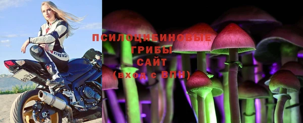 дживик Алзамай