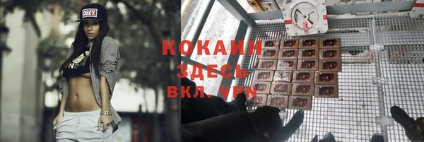 не бодяженный Алексин