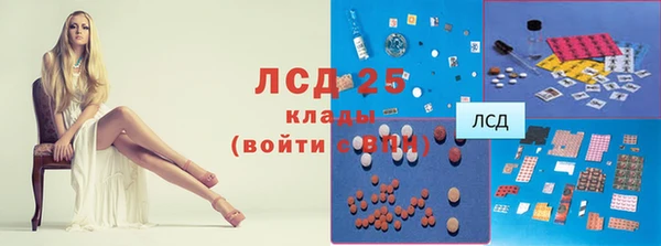 дживик Алзамай