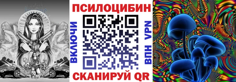 mega ссылка  Добрянка  Галлюциногенные грибы Psilocybine cubensis 